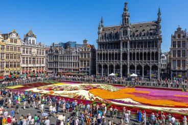 Le tapis de fleurs à Bruxelles (flowers carpet in Brussels)